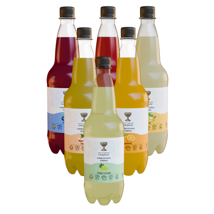 6 vnt. fermentuotų gėrimų rinkinys