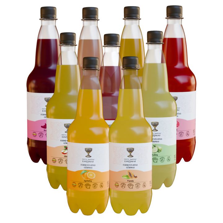 9 vnt. fermentuotų gėrimų rinkinys