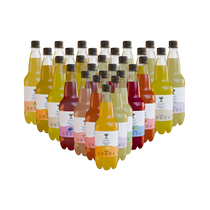 Didysis fermentuotų gėrimų rinkinys