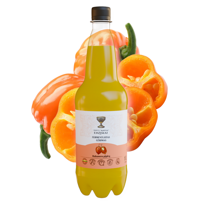 Habanerų fermentuotas gėrimas