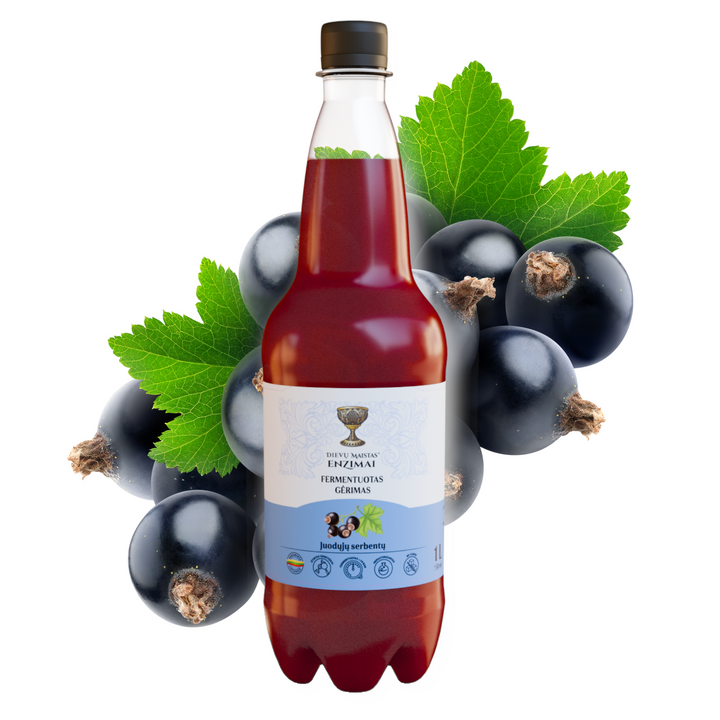 Juodųjų serbentų fermentuotas gėrimas