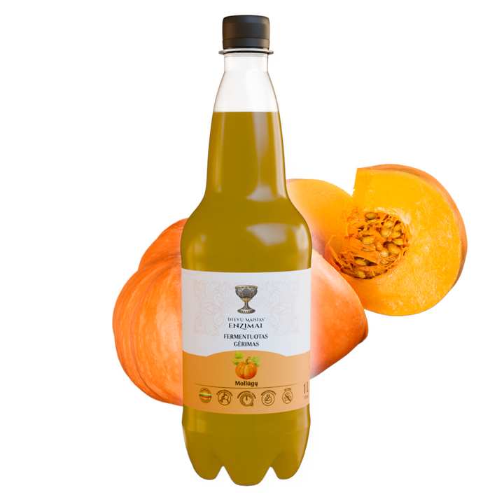 Moliūgų fermentuotas gėrimas