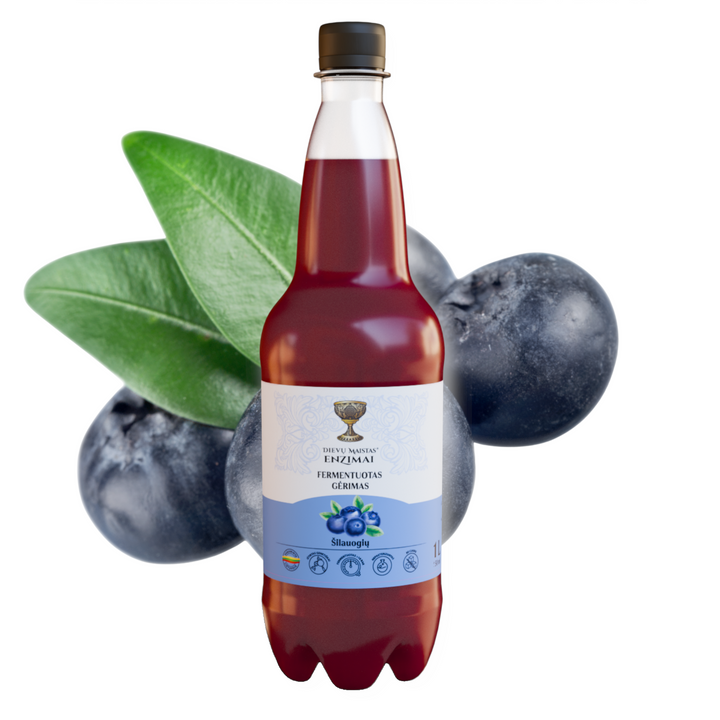 Šilauogių fermentuotas gėrimas