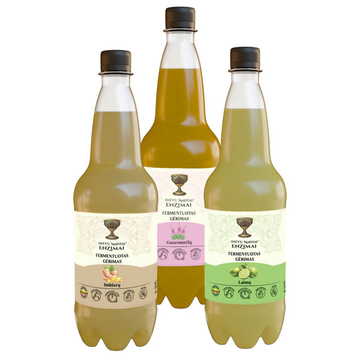 Basomis per sniegą - 3 vnt.