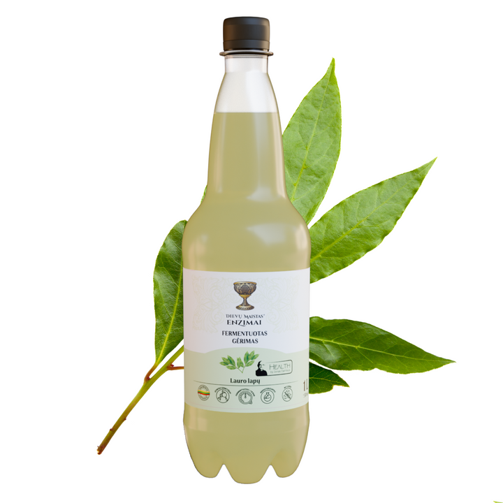 Lauro lapų fermentuotas gėrimas